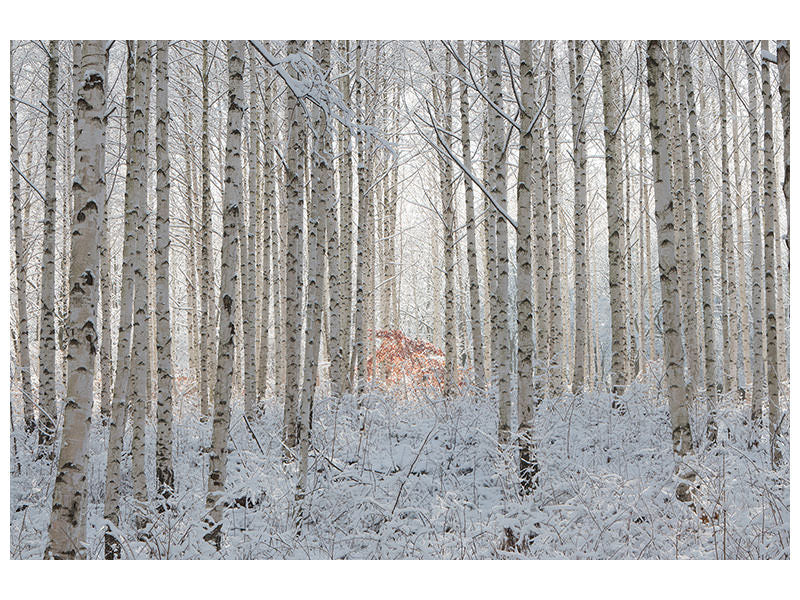 5-piece-canvas-print-white