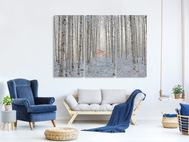 panoramic-3-piece-canvas-print-white