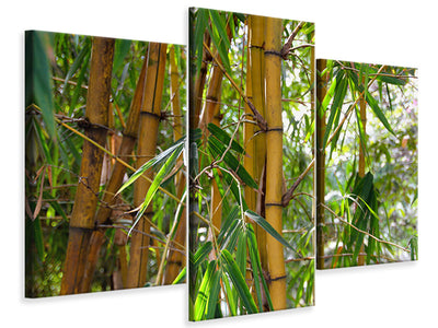 5-piece-canvas-print-wild-bamboo