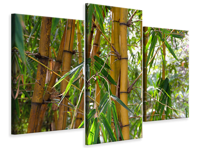 modern-4-piece-canvas-print-wild-bamboo