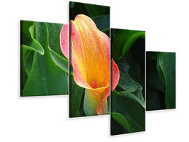 5-piece-canvas-print-wild-calla