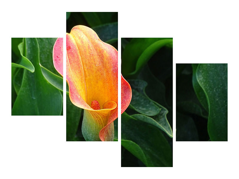 5-piece-canvas-print-wild-calla