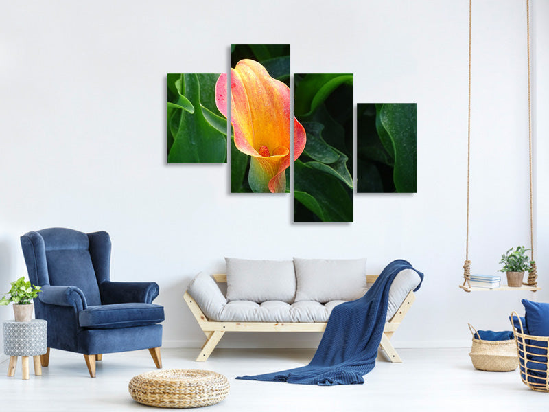 canvas-print-wild-calla