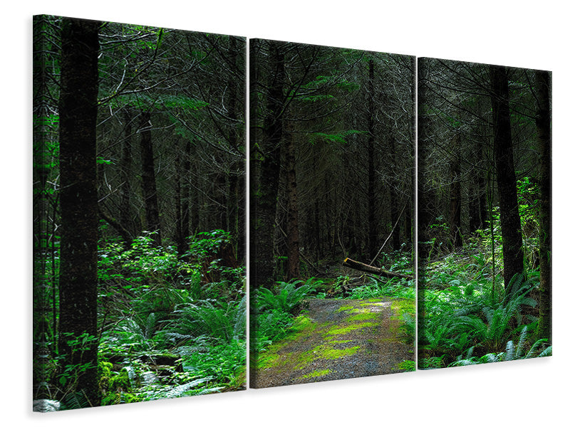 canvas-print-wild-forest