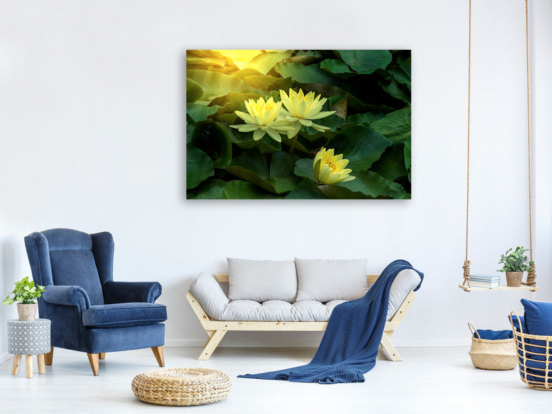 4-piece-canvas-print-wild-lotus