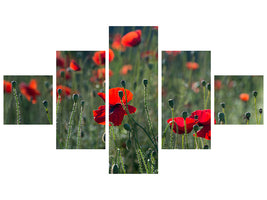 modern-3-piece-canvas-print-wild-poppy