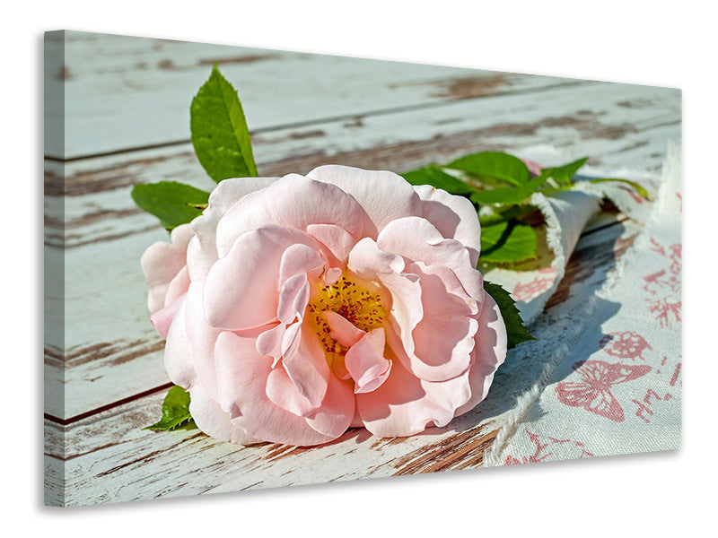 3-piece-canvas-print-wild-rose-in-pink