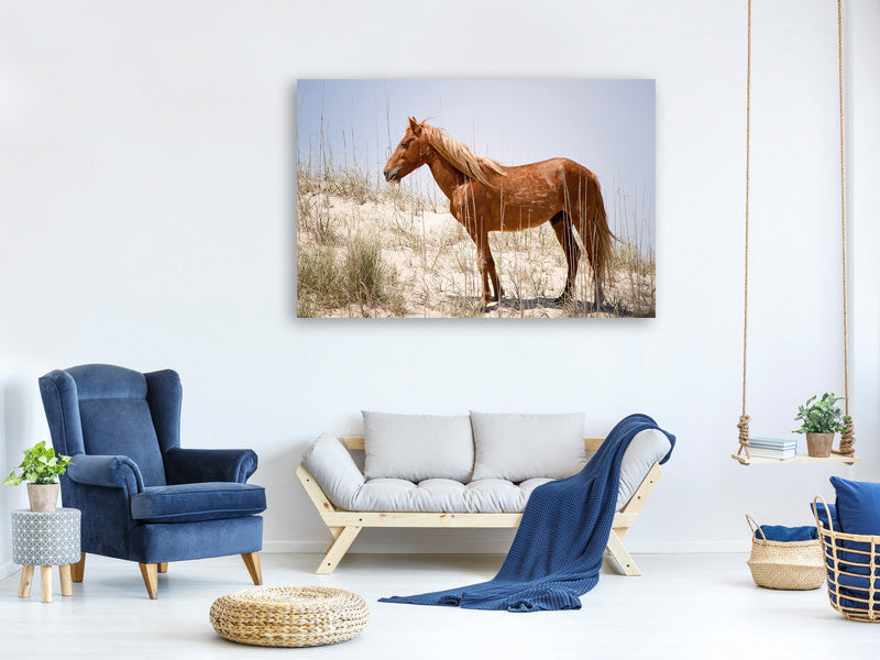 3-piece-canvas-print-wild-spanish-mustang
