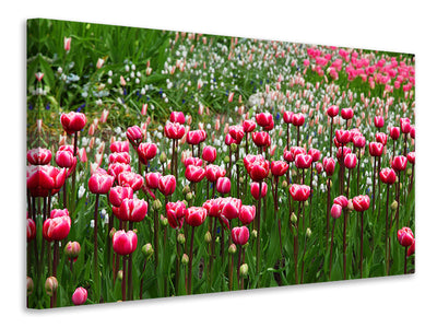 3-piece-canvas-print-wild-tulip-field