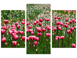 panoramic-3-piece-canvas-print-wild-tulip-field