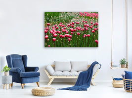 panoramic-canvas-print-wild-tulip-field