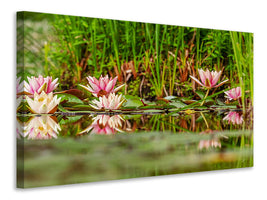 3-piece-canvas-print-wild-water-lilies