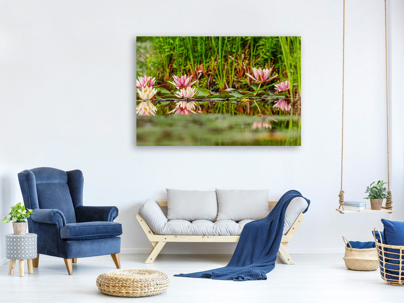 3-piece-canvas-print-wild-water-lilies