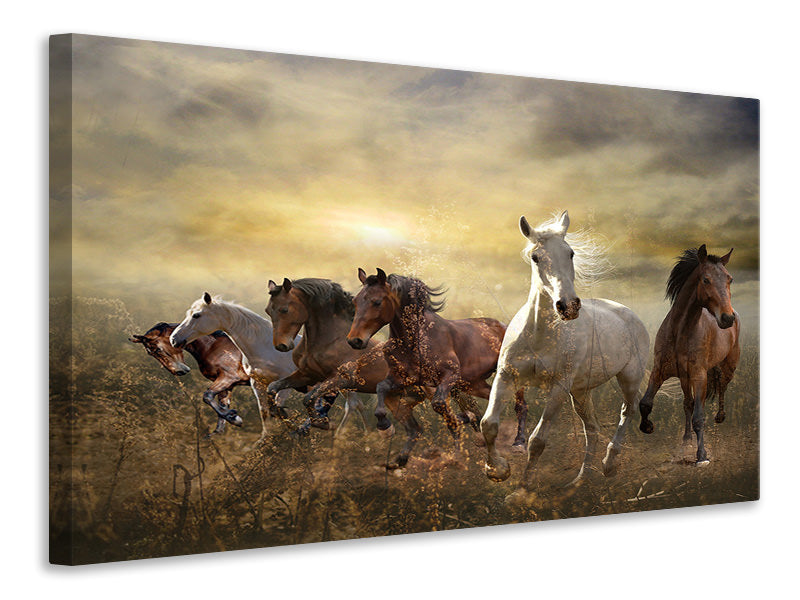 modern-4-piece-canvas-print-wild-wild-horses