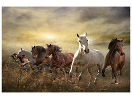 4-piece-canvas-print-wild-wild-horses