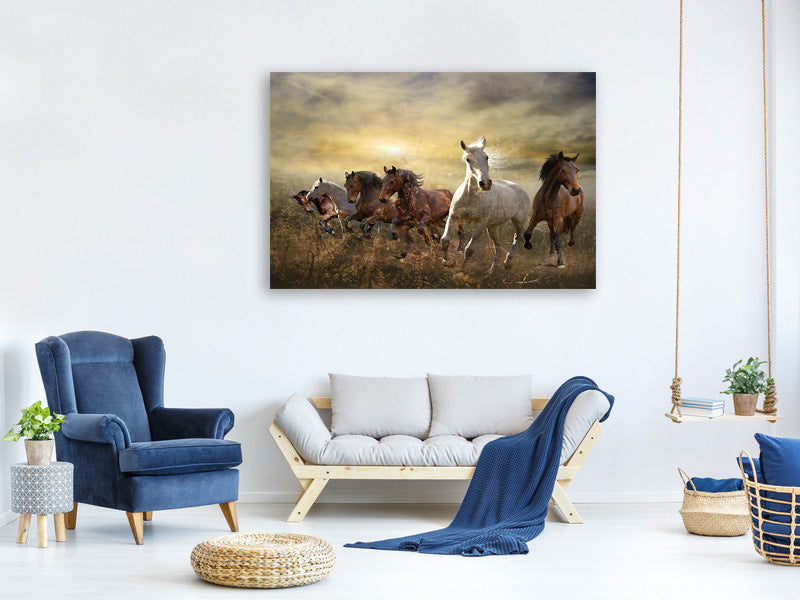 modern-4-piece-canvas-print-wild-wild-horses