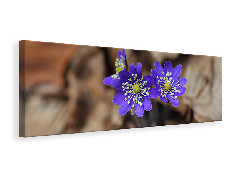panoramic-3-piece-canvas-print-wildflowers