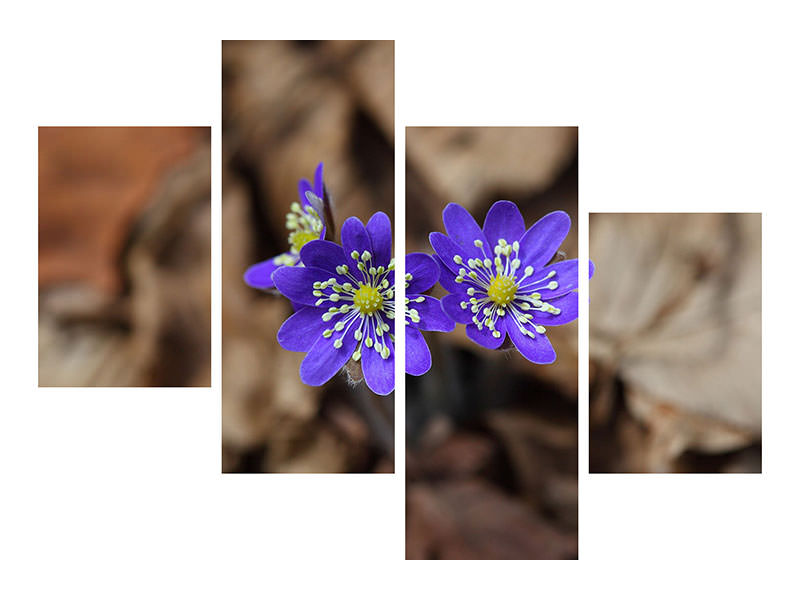 panoramic-3-piece-canvas-print-wildflowers
