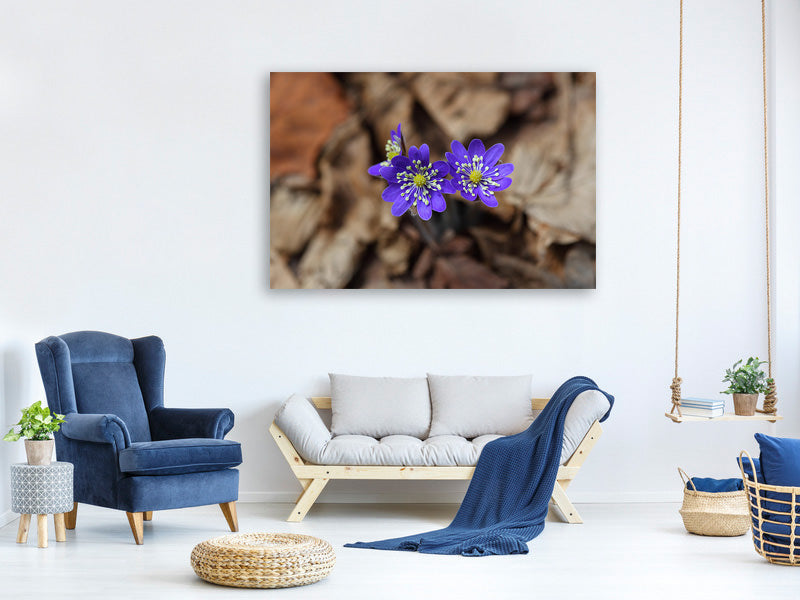 3-piece-canvas-print-wildflowers