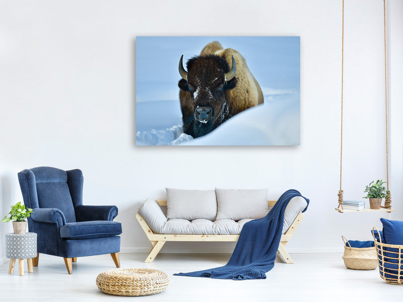 3-piece-canvas-print-winter-bison