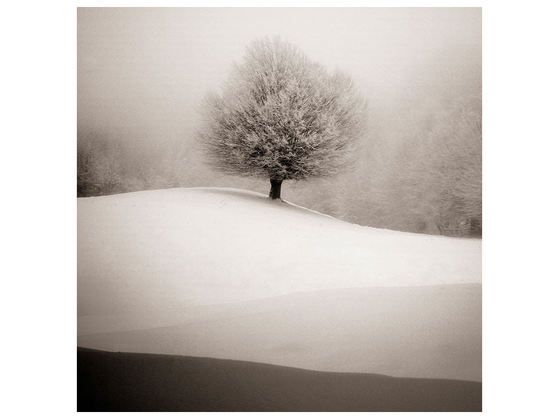 9-piece-canvas-print-winter-degradee