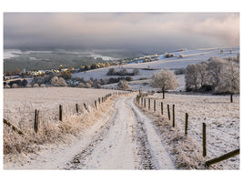 modern-3-piece-canvas-print-winter-wonderland