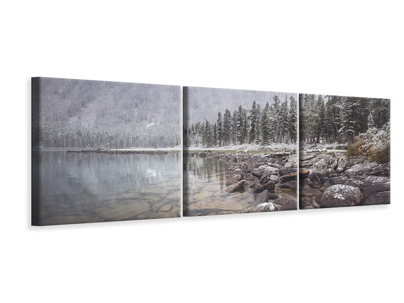 canvas-print-winter