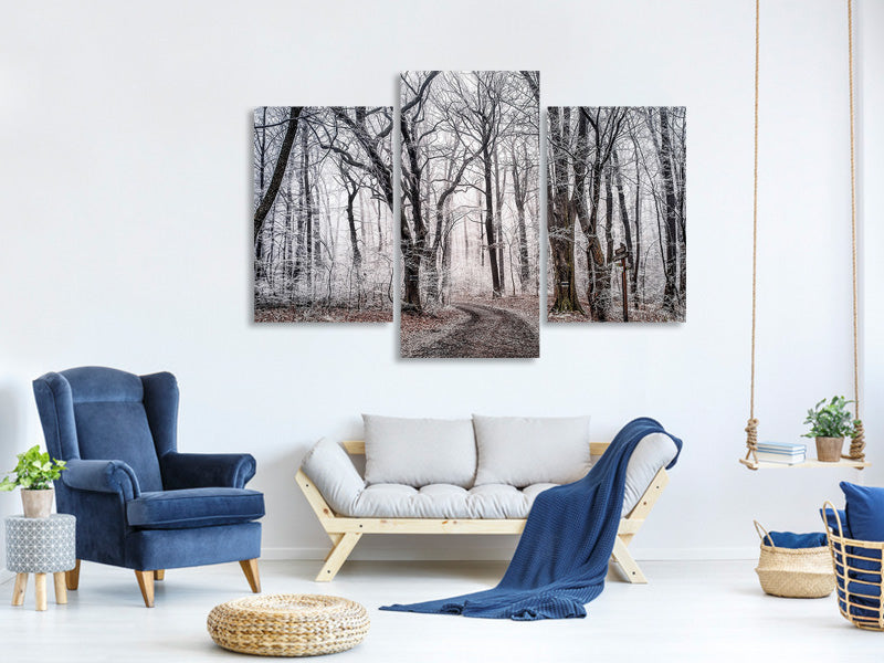 3-piece-canvas-print-wintry-forest