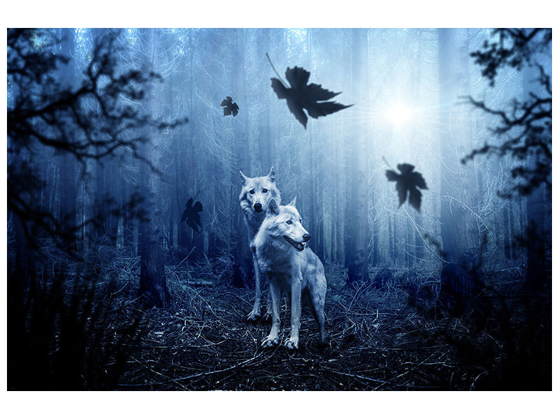 4-piece-canvas-print-wolf39s-couple