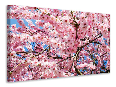 3-piece-canvas-print-wonderful-japanese-cherry