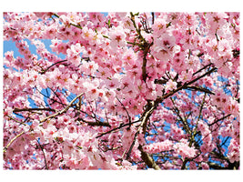3-piece-canvas-print-wonderful-japanese-cherry