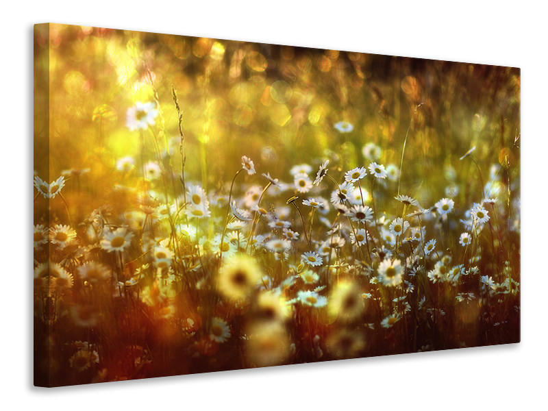 modern-4-piece-canvas-print-wonderland