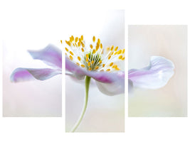 canvas-print-wood-anemone