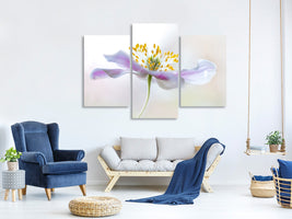 modern-4-piece-canvas-print-wood-anemone
