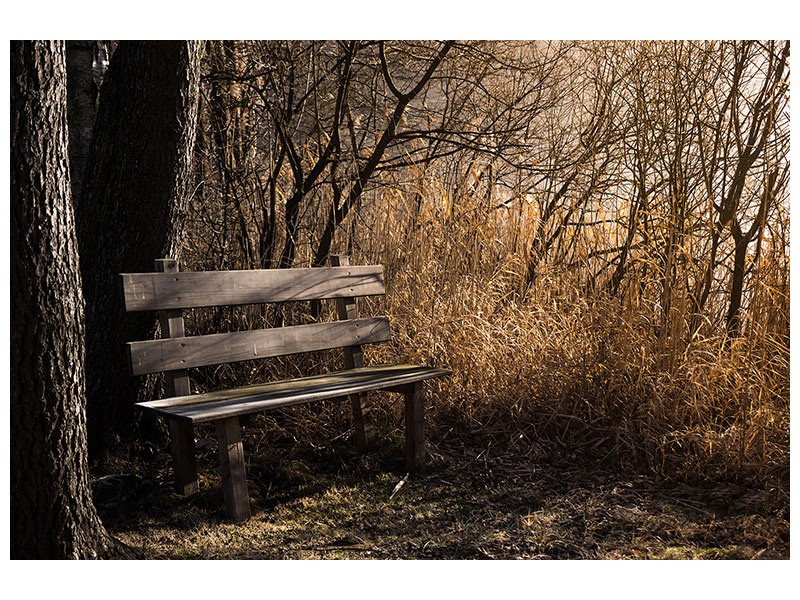 3-piece-canvas-print-wooden-bench-in-the-forest