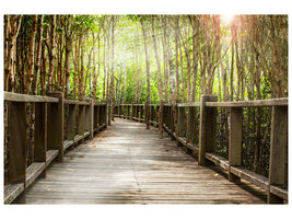 panoramic-3-piece-canvas-print-wooden-bridge