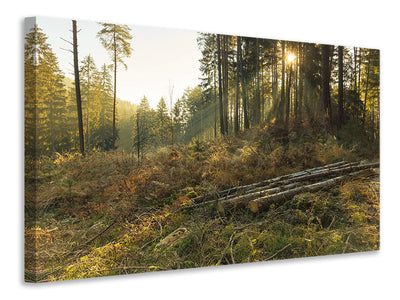 3-piece-canvas-print-working-in-the-woods