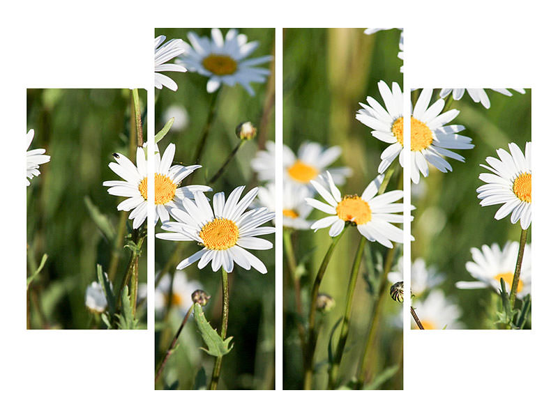 modern-3-piece-canvas-print-xl-daisies