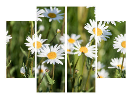 modern-4-piece-canvas-print-xl-daisies