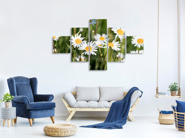 3-piece-canvas-print-xl-daisies