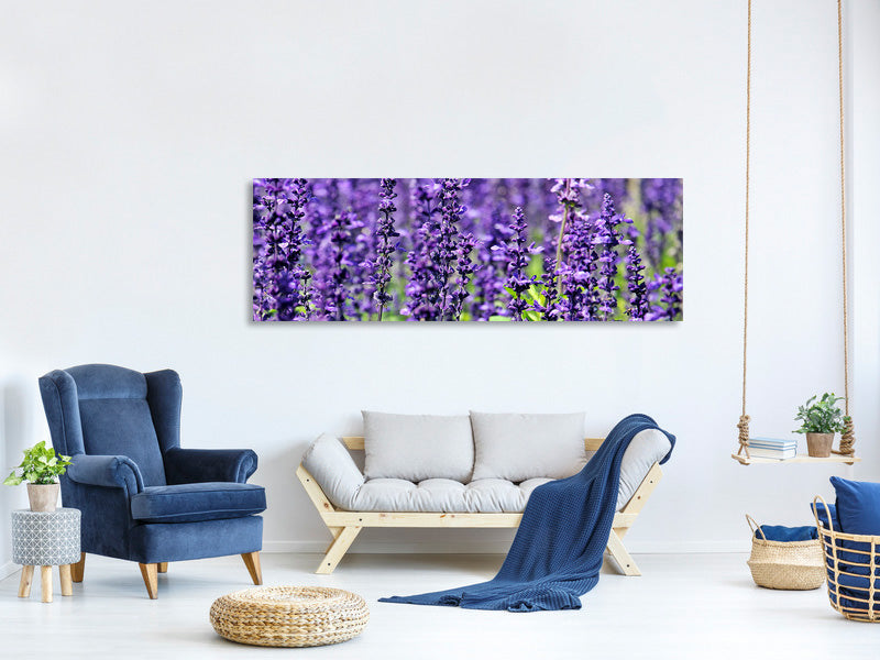 panoramic-3-piece-canvas-print-xl-lavender