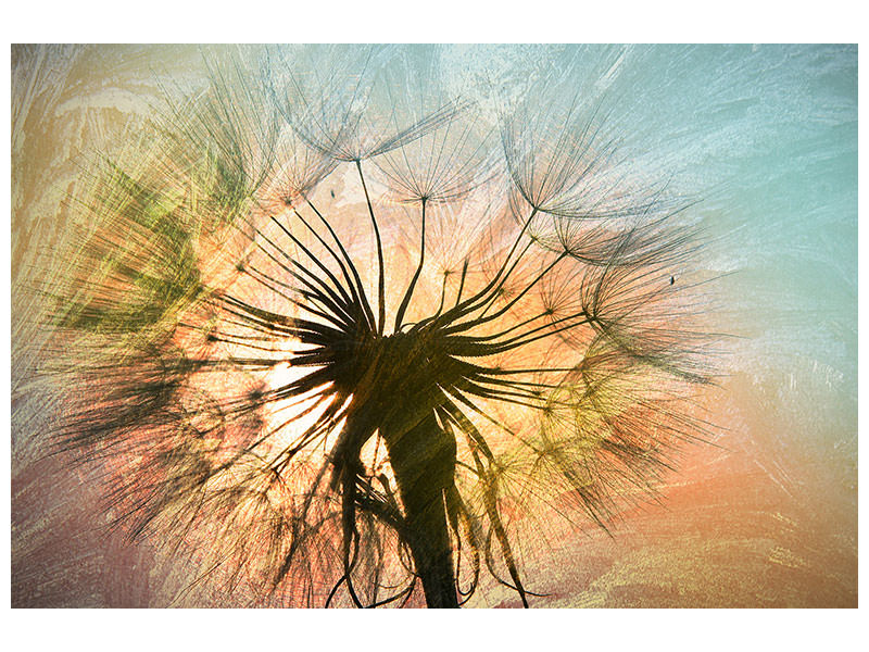 4-piece-canvas-print-xxl-dandelion