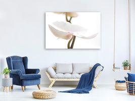 5-piece-canvas-print-xxl-orchid-flower