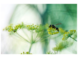 4-piece-canvas-print-xxl-parsnip