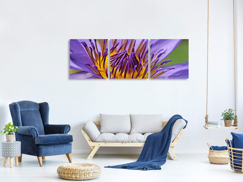 4-piece-canvas-print-xxl-water-lily-in-purple