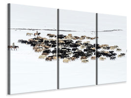 5-piece-canvas-print-yaks-in-snow