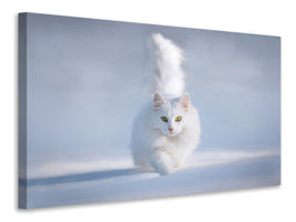 5-piece-canvas-print-yellow-eyes
