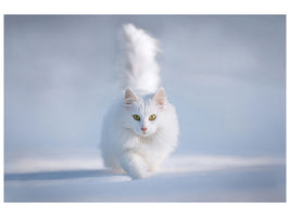 3-piece-canvas-print-yellow-eyes