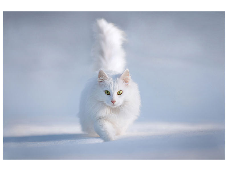 3-piece-canvas-print-yellow-eyes