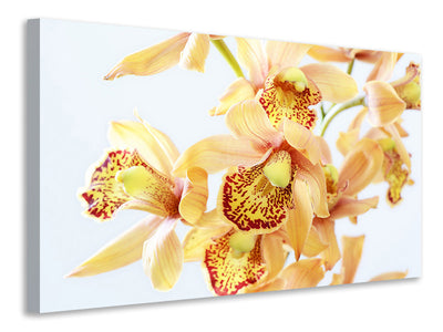 3-piece-canvas-print-yellow-orchid